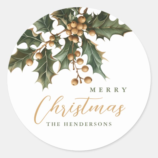 Merry Christmas Mistletoe Round Pegatinas (Anverso)