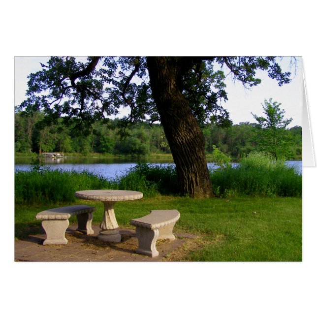 Mesa de picnic reunión de almuerzo de verano cerca (Anverso (Horizontal))