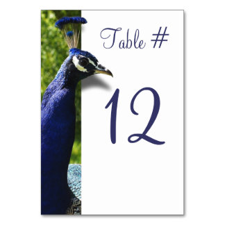 Mesa Tarjeta de número de tabla de Boda de pavo real co