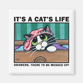 Messy Drawers v.01 - Es el imán de vida de un gato