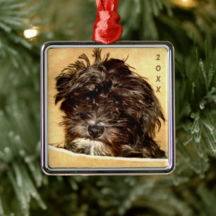 Metálico Adorno cuadrado premium de Schnoodle
