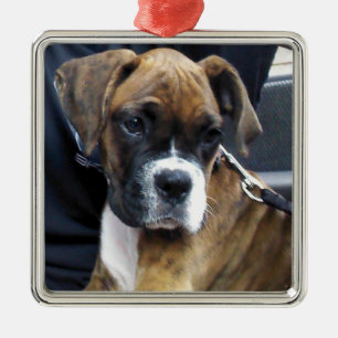 Metálico adorno de cachorro BOXER