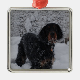 Metálico Adorno de cachorro de Setter Gordon en una torment