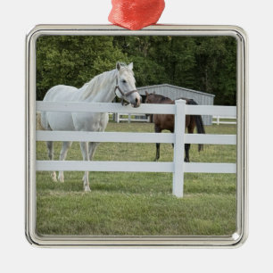 Metálico Adorno de foto de caballo