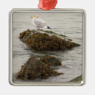 Metálico Adorno de foto de gaviota