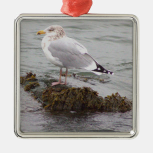 Metálico Adorno de foto de gaviota