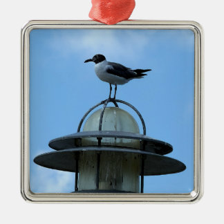Metálico Adorno de foto de gaviota