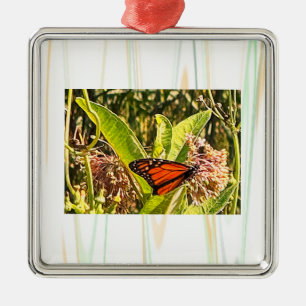 Metálico Adorno de foto de mariposa