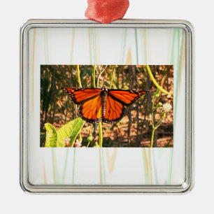 Metálico Adorno de foto de mariposa