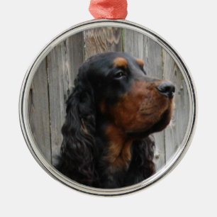 Metálico Adorno de foto de Setter Gordon