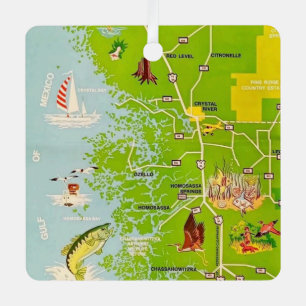 Metálico Adorno de Mapa Antiguo del Condado de Citrus Flori
