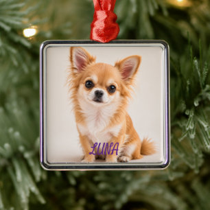 Metálico Adorno de metal elegante con foto de perro persona