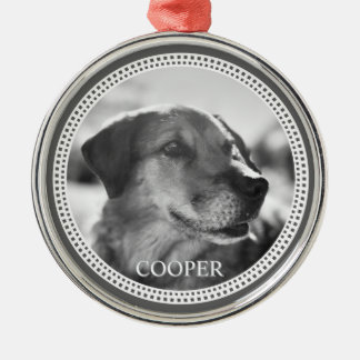 Metálico Adorno de metal para mascotas personalizado modern