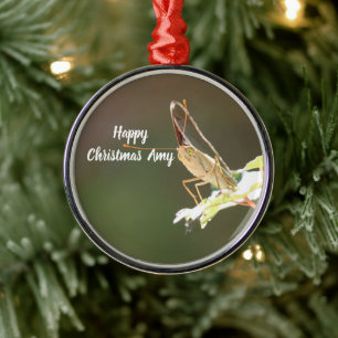 Metálico Adorno de Navidad con Foto de Mariposa Personaliza