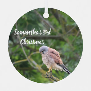 Metálico Adorno de Navidad con Foto Personalizada de Gavilá