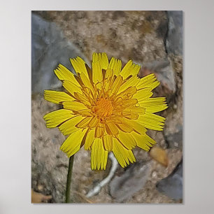 METALIZADA ARTE DE PÓSTER DE IMPRESIÓN EN HOJA Y DISEÑO