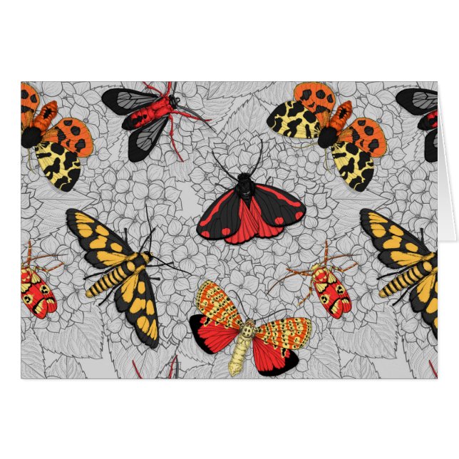 Metas de hidrangea (Anverso (Horizontal))