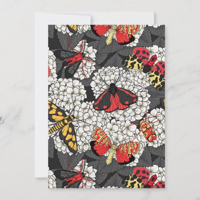 Metas en hidrangea blanca (Anverso)