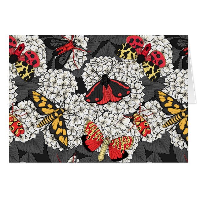 Metas en hidrangea blanca (Anverso (Horizontal))