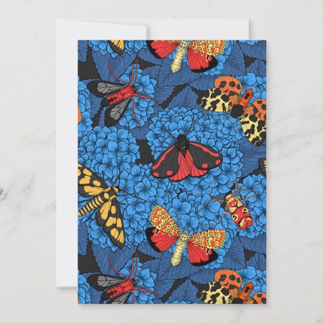 Metas en la hidrangea azul (Anverso)