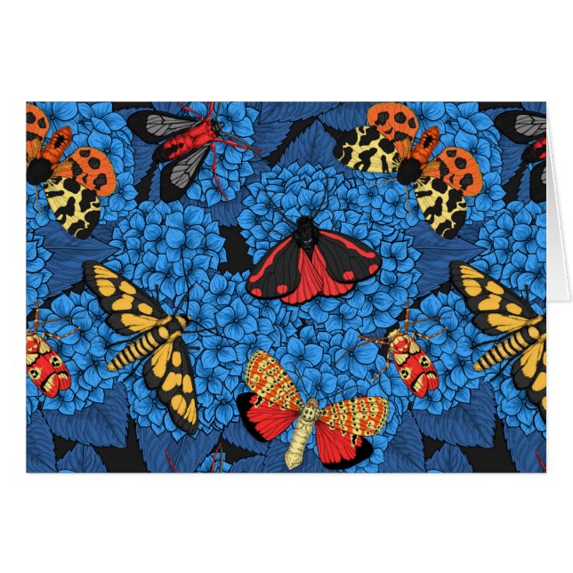 Metas en la hidrangea azul (Anverso (Horizontal))