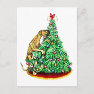 Metas UC Brindle del alcance del navidad de great