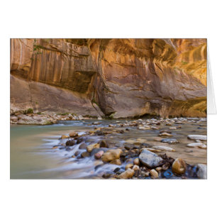 Metro en Zion Utah