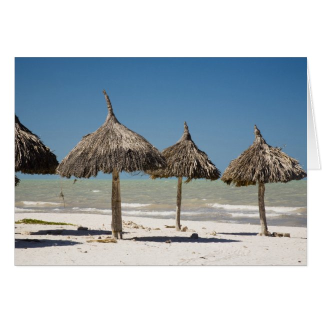 México, Península de Yucatán, Progreso. Techo de p (Anverso (Horizontal))