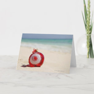 México, Playa del Carmen, decoración del navidad
