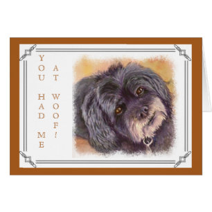 MEZCLA DE COCK-A-POO NEGRO CUTIE