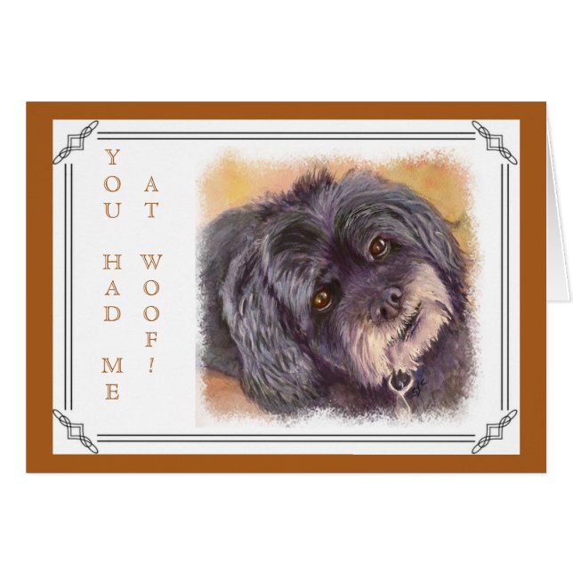 MEZCLA DE COCK-A-POO NEGRO CUTIE (Anverso (Horizontal))