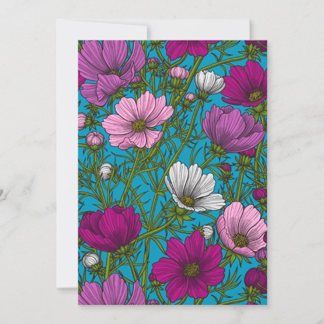 Mezcla de cosmos en azul (Anverso)