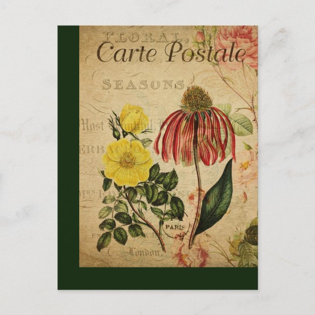 Mezcla de tarjetas postales francesas botánicas vi (Anverso)