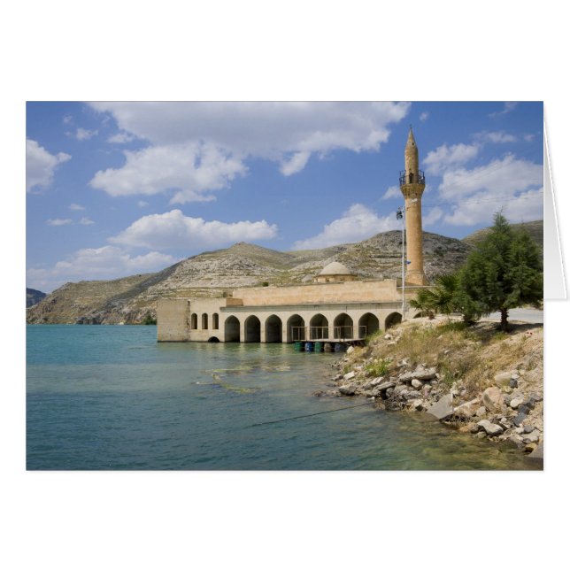 Mezquita Central Halfeti Merkez Camii) parcialment (Anverso (Horizontal))