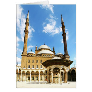 Mezquita de Mohame Ali