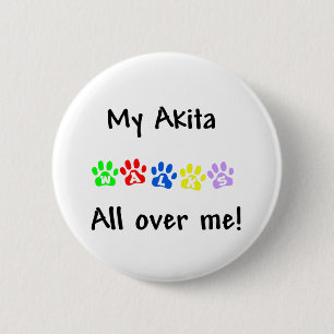Mi Akita camina por encima de mi botón