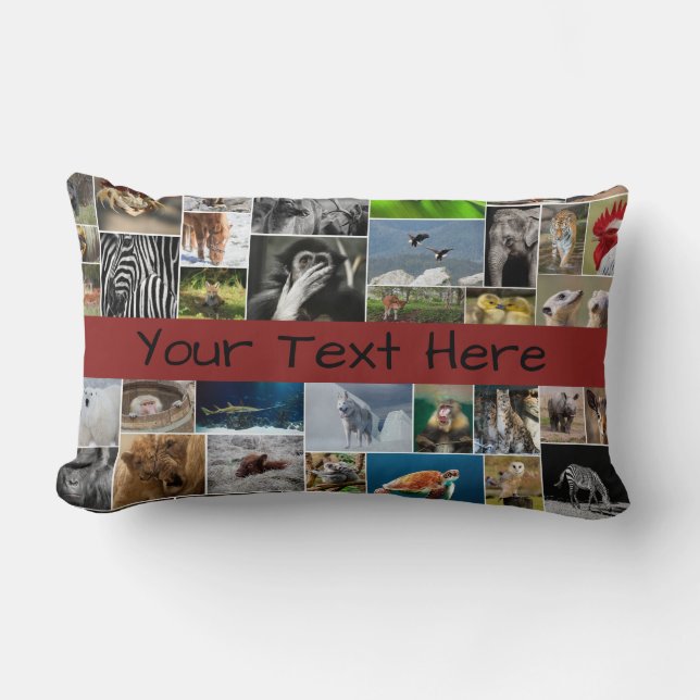Mi Almohada de Tirar Reino Animal (Anverso)