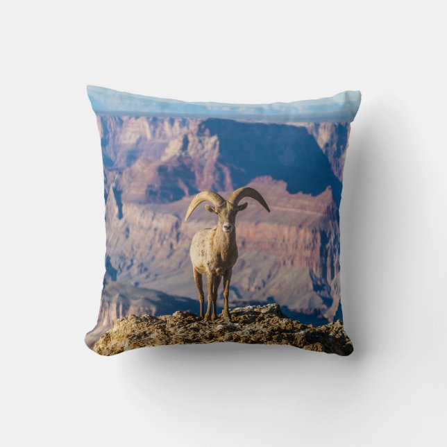 Mi almohada del Gran Cañón del espacio (Anverso)
