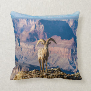 Mi almohada del Gran Cañón del espacio