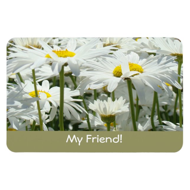 ¡Mi amigo! imanes Margaritas Blancas Flores Amigos (Horizontal)