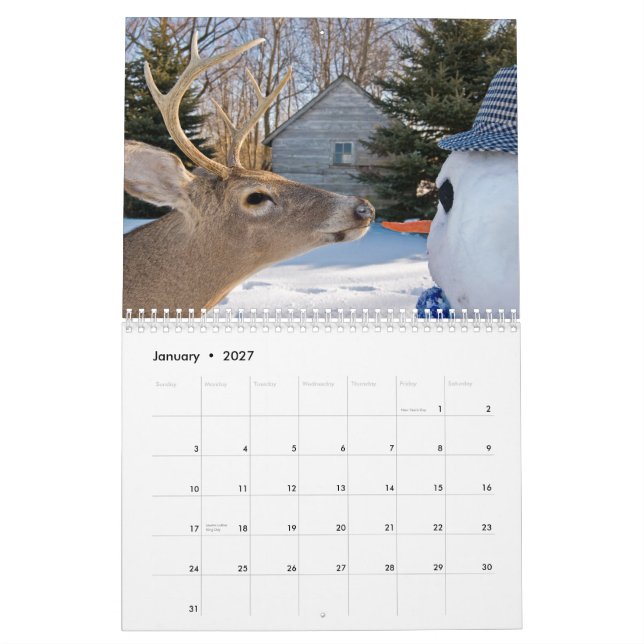 Mi calendario (Jan 2027)