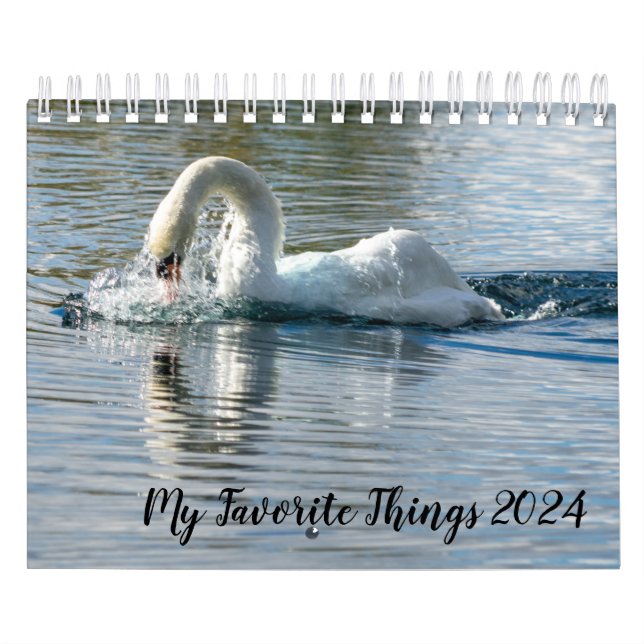 Mi calendario de cosas favoritas 2024 (Tapa)