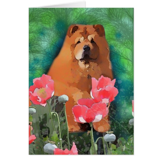 Mi Chica "Sassy the nice Chow" (Frente)