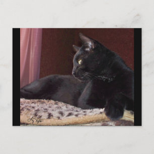 Mi chico, tarjeta postal de Charlie