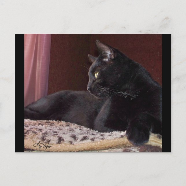 Mi chico, tarjeta postal de Charlie (Anverso)