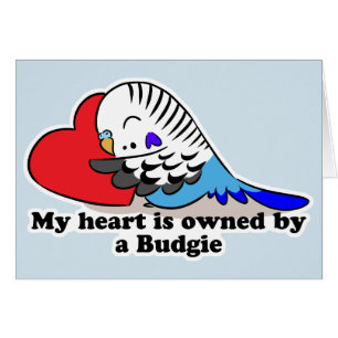 Mi corazón pertenece a un budgie azul