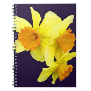 Mi cuaderno del narciso (añada su nombre)