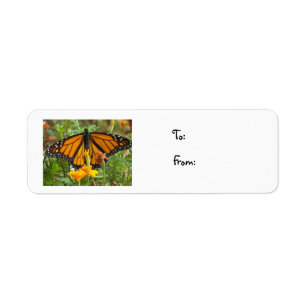 Mi etiqueta del Mariposa-navidad del monarca