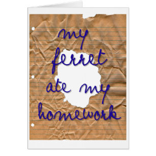 Mi Ferret se comió mi hogar