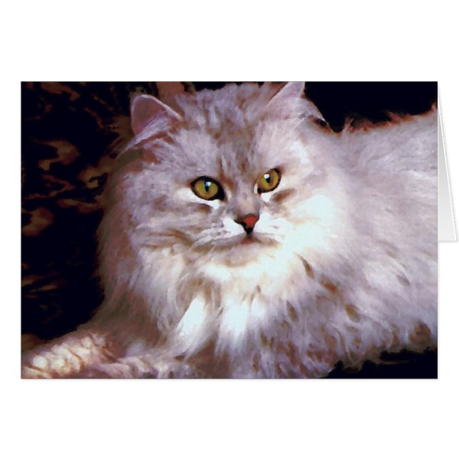 Mi gato (Anverso (Horizontal))